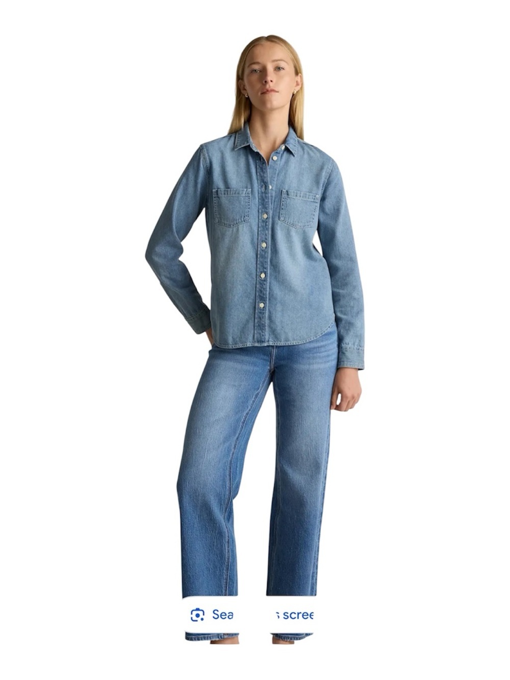 Quince Distressed Denim Oversized shirt